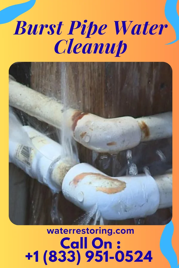 Burst Pipe Water Cleanup in Avon Lake, OH