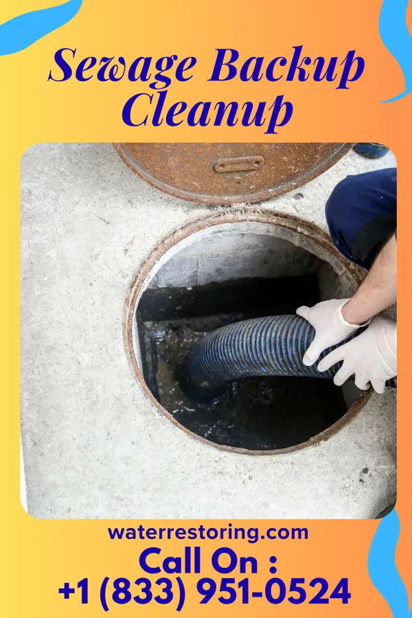 Sewage Backup Cleanup in Avon Lake, OH